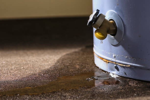 Best Professional water damage repair  in Saticoy, CA