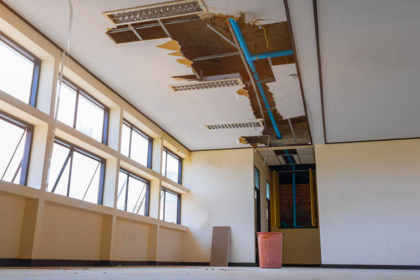 Best Flood damage cleanup  in Saticoy, CA