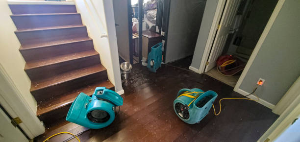 Water damage restoration insurance claims in CA