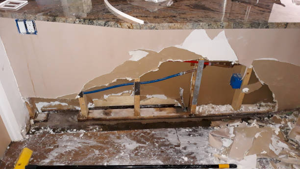  Saticoy, CA Water damage restoration Pros