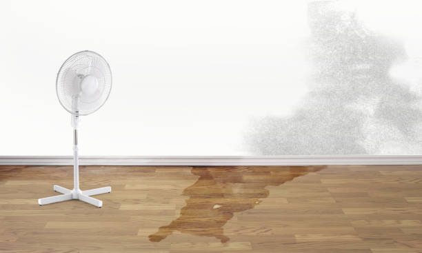 Best Commercial water damage restoration  in Saticoy, CA