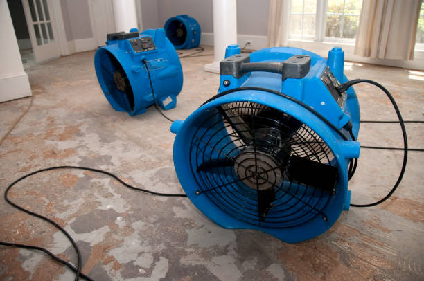 Best Water damage restoration insurance claims  in Saticoy, CA