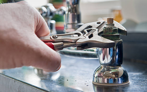 Best Flooded house restoration  in Saticoy, CA