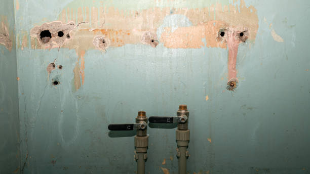 Best Sewage cleanup and water damage restoration  in Saticoy, CA