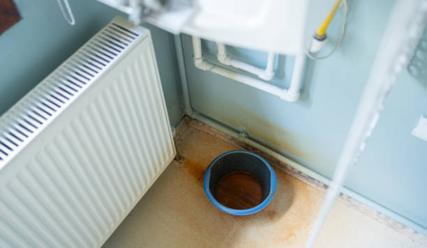 Best Water damage cleanup near me  in Saticoy, CA