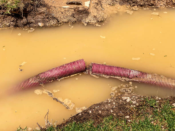 Best Carpet water damage restoration  in Saticoy, CA