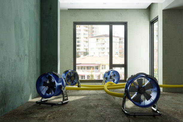 Carpet water damage restoration in CA
