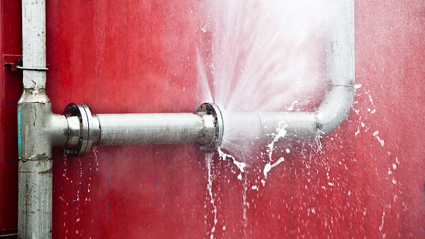 Best Local water damage restoration  in Saticoy, CA